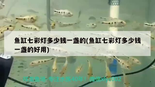 創寧加熱棒異常報警e2怎么處理（創寧加熱棒cn111顯示異常報警）