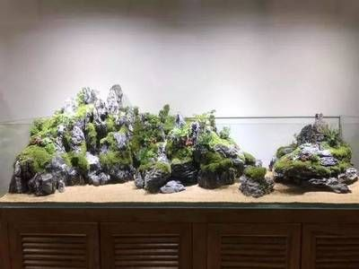 大型生態(tài)魚缸造景墻設(shè)計(jì)圖：大型生態(tài)魚缸造景墻設(shè)計(jì)圖信息大型生態(tài)魚缸設(shè)計(jì)圖