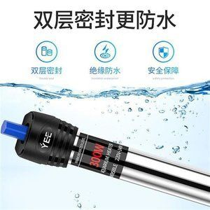 大魚缸改造成斗魚缸好不好用：大魚缸改造成斗魚缸的一個主要優點是提供了更大的活動空間 大魚缸改造成斗魚缸好不好用：大魚缸改造成斗魚缸的一個主要優點是提供了更大的活動空間 魚缸百科 第4張