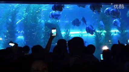 撫順水族館vs祥龍魚場（撫順水族館和祥龍魚場各有其獨特的定位和功能）