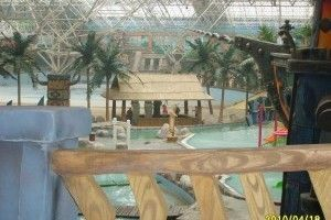 撫順水族館vs祥龍魚場（撫順水族館和祥龍魚場各有其獨特的定位和功能）