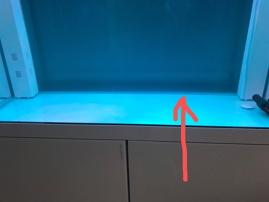 魚缸用增氧泵價格是多少:魚缸增氧機-xtrac增氧機-xtrac增氧機 怎么用水管吸魚缸水 魚缸百科 怎么用水管吸魚缸水 怎么用水管吸魚缸水 魚缸百科