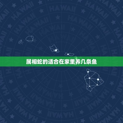 過背金龍魚為什么叫過背金龍魚呢(過背金龍魚為什么叫過背金龍魚呢視頻) 過背金龍魚為什么叫過背金龍魚呢(過背金龍魚為什么叫過背金龍魚呢視頻) 金龍魚百科