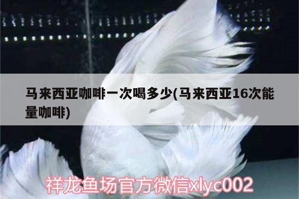 馬來(lái)西亞咖啡一次喝多少(馬來(lái)西亞16次能量咖啡) 馬來(lái)西亞咖啡一次喝多少(馬來(lái)西亞16次能量咖啡) 馬來(lái)西亞咖啡