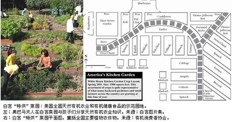 龍魚需要養(yǎng)水幾天嗎vs祥龍魚場：龍魚養(yǎng)殖的最佳時(shí)間 龍魚需要養(yǎng)水幾天嗎vs祥龍魚場：龍魚養(yǎng)殖的最佳時(shí)間 vs祥龍魚場 第3張