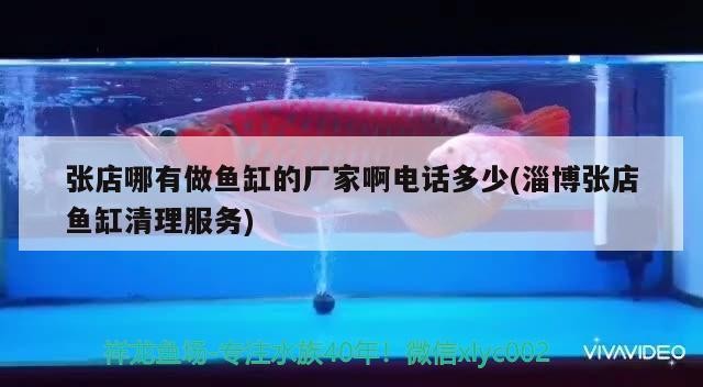 張店哪有做魚缸的廠家啊電話多少(淄博張店魚缸清理服務)