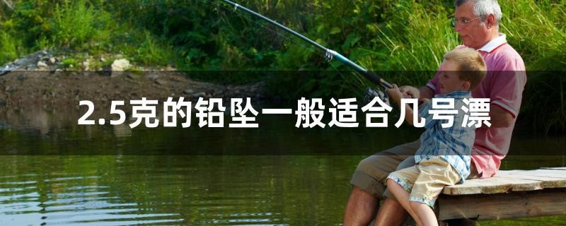 2.5克的鉛墜一般適合幾號漂