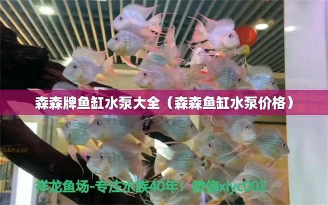 鋁合金魚缸架子上要墊木板嘛（鋁合金魚缸架子上要墊木板嘛視頻）