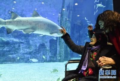 和田水族館vs祥龍魚場（和田水族館與祥龍魚場之間的差異之前，我們需要明確兩者的業務和特點）