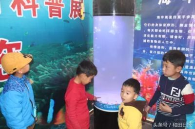 和田水族館vs祥龍魚場（和田水族館與祥龍魚場之間的差異之前，我們需要明確兩者的業務和特點）