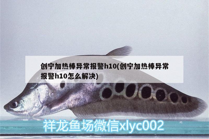 創寧加熱棒異常報警h10(創寧加熱棒異常報警h10怎么解決) 創寧加熱棒異常報警h10(創寧加熱棒異常報警h10怎么解決) 創寧水族
