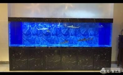 不銹鋼框架魚缸用玻璃膠可以嗎：不銹鋼框架魚缸用玻璃膠的選擇