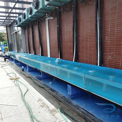 不銹鋼框架魚缸用玻璃膠可以嗎：不銹鋼框架魚缸用玻璃膠的選擇