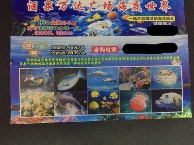龍魚尾巴凸起的白包vs祥龍魚場：龍魚尾巴上出現凸起的白包可能是由多種原因引起的 龍魚尾巴凸起的白包vs祥龍魚場：龍魚尾巴上出現凸起的白包可能是由多種原因引起的 vs祥龍魚場 第1張