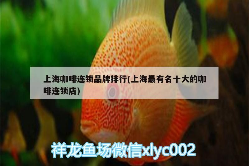 上?？Х冗B鎖品牌排行(上海最有名十大的咖啡連鎖店)