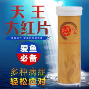 虎魚身上長白毛怎么治療：虎魚身上長白毛怎么治療虎魚水霉病的一些治療方法 虎魚身上長白毛怎么治療：虎魚身上長白毛怎么治療虎魚水霉病的一些治療方法 虎魚百科 第2張
