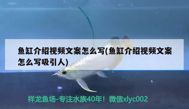 創寧變頻水泵怎么拆（創寧變頻水泵怎么拆洗）