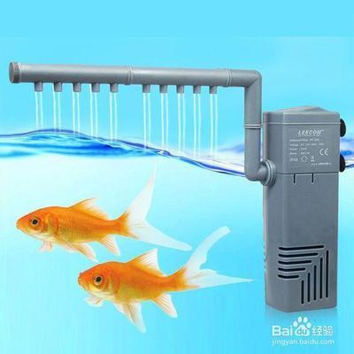 魚缸換水必備什么藥（魚缸換水必備什么藥水）