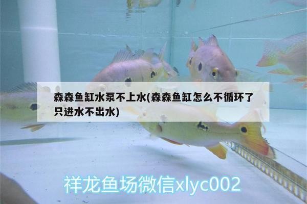 滁州魚缸定制廠家地址及電話聯系方式（滁州魚缸定制廠家地址及電話聯系方式查詢）