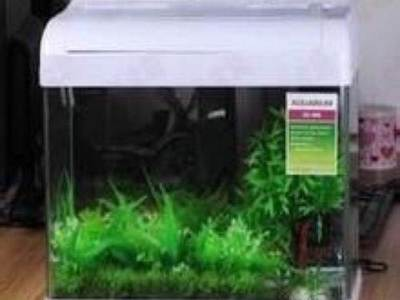 大型圓形魚缸廠家