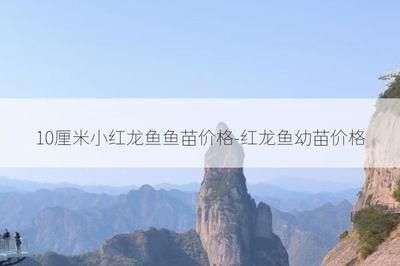 長春哪里有定做魚缸的店子 長春哪里有定做魚缸的店子 魚缸百科