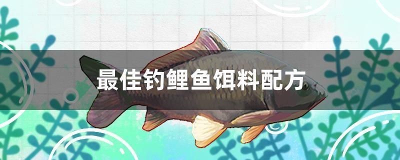 魚缸造景簡單簡約圖片