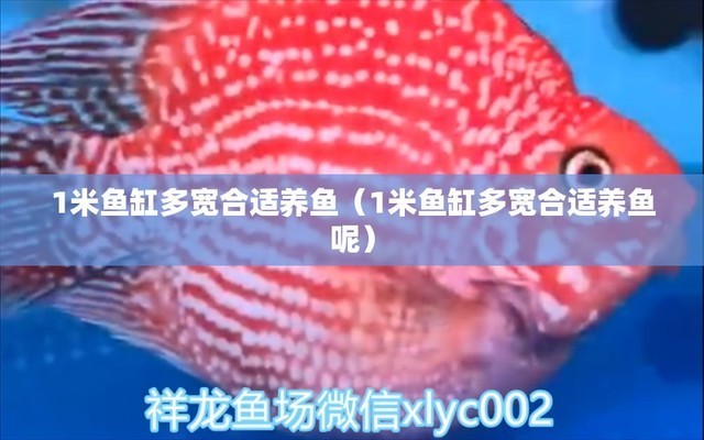 阿拉爾市欣悅水族館(阿拉爾市欣悅水族館電話) 全國水族館企業名錄 第2張 阿拉爾市欣悅水族館(阿拉爾市欣悅水族館電話) 阿拉爾市欣悅水族館(阿拉爾市欣悅水族館電話) 全國水族館企業名錄 第2張