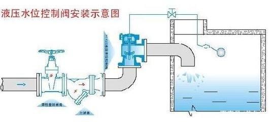 上海市閘北區維利花卉水族店