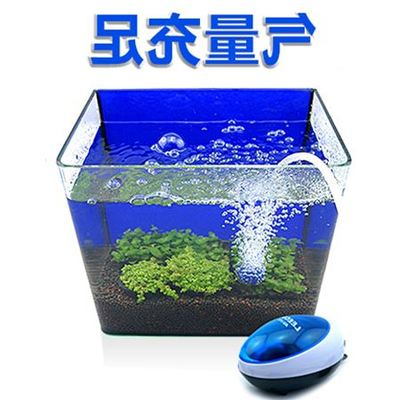 鞏留縣蘭花漁具行 鞏留縣蘭花漁具行 全國水族館企業(yè)名錄 第2張