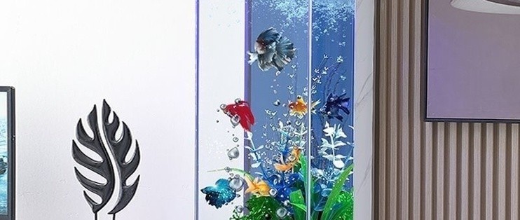 烏魯木齊高新技術產業開發區新人來魚往水族館