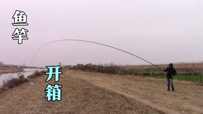 創寧水泵和森森水泵哪個好些（創寧水泵和森森水泵哪個好些呢）