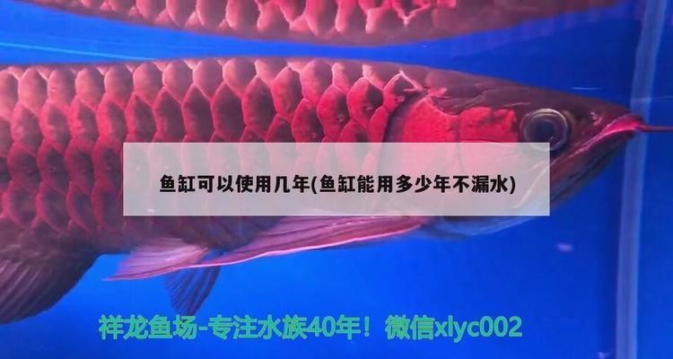 博特水泵吸魚問題怎么解決（博特水泵吸魚問題怎么解決的）