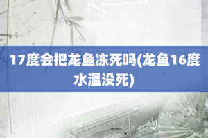 森森和創(chuàng)寧變頻潛水泵各自的優(yōu)略（森森和創(chuàng)寧潛水泵哪個(gè)好）