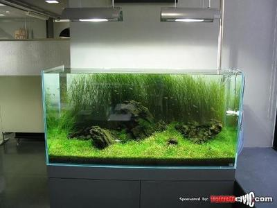 丹東市振興區(qū)精彩水族館（丹東市振興區(qū)精彩水族館電話） 丹東市振興區(qū)精彩水族館（丹東市振興區(qū)精彩水族館電話） 全國水族館企業(yè)名錄 第2張