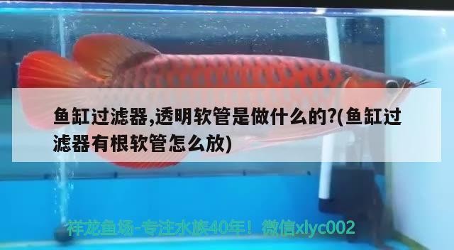 魚缸過濾器,透明軟管是做什么的?(魚缸過濾器有根軟管怎么放) 魚缸過濾器,透明軟管是做什么的?(魚缸過濾器有根軟管怎么放) 金龍魚百科
