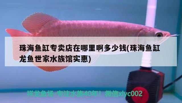 珠海魚缸專賣店在哪里啊多少錢(珠海魚缸龍魚世家水族館實惠)