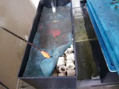 帶蓋上濾魚缸怎么加強過濾：帶蓋上濾魚缸過濾可以通過以下幾個步驟來加強過濾效果 帶蓋上濾魚缸怎么加強過濾：帶蓋上濾魚缸過濾可以通過以下幾個步驟來加強過濾效果 魚缸百科 第2張