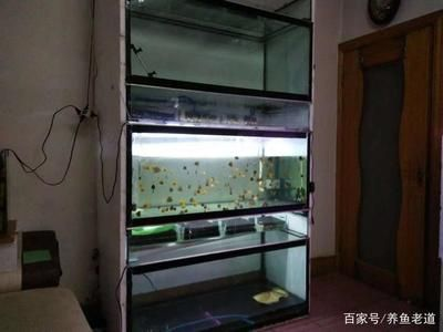 1米2魚缸上濾：1米2的魚缸使用上濾系統可以嗎？