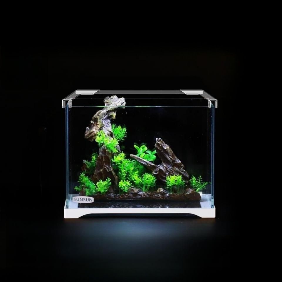 斗魚缸造景30缸好嗎：關于斗魚缸造景的一些建議