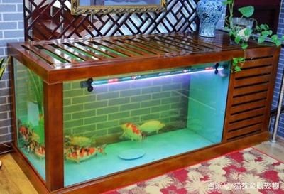 大型錦鯉魚缸過濾系統(tǒng)圖：錦鯉魚缸過濾系統(tǒng)的基本原理錦鯉魚缸過濾系統(tǒng)的注意事項 大型錦鯉魚缸過濾系統(tǒng)圖：錦鯉魚缸過濾系統(tǒng)的基本原理錦鯉魚缸過濾系統(tǒng)的注意事項 魚缸百科 第1張