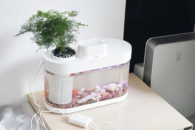 大型魚缸需要用什么玻璃 大型魚缸需要用什么玻璃 魚缸百科 第4張