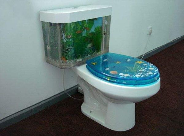 愛上魚魚馬桶魚缸怎么樣：\"愛上魚魚馬桶魚缸\"使用心得