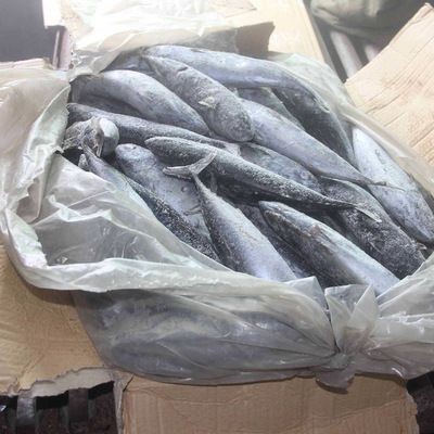 JEBO魚缸：jebo佳寶魚缸怎么樣？