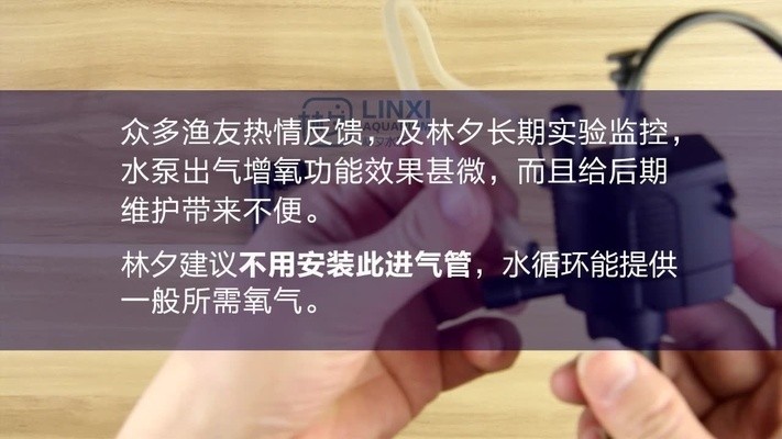紅龍魚的養殖方法和技術視頻 紅龍魚的養殖方法和技術視頻 魚缸百科