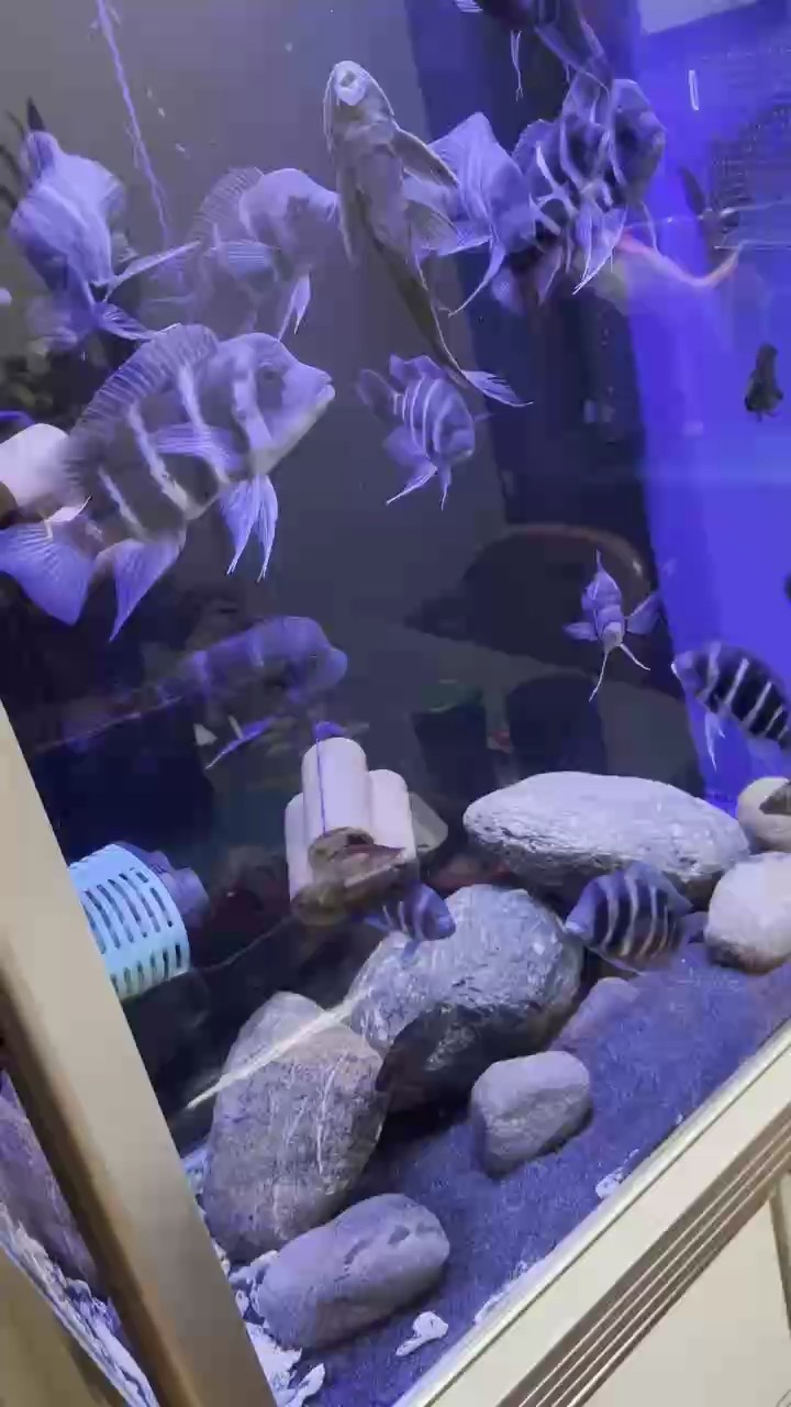 這個AP壓縮有點厲害了