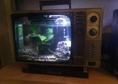 超白魚缸壽命幾年：超白魚缸使用壽命一般在8-10年左右
