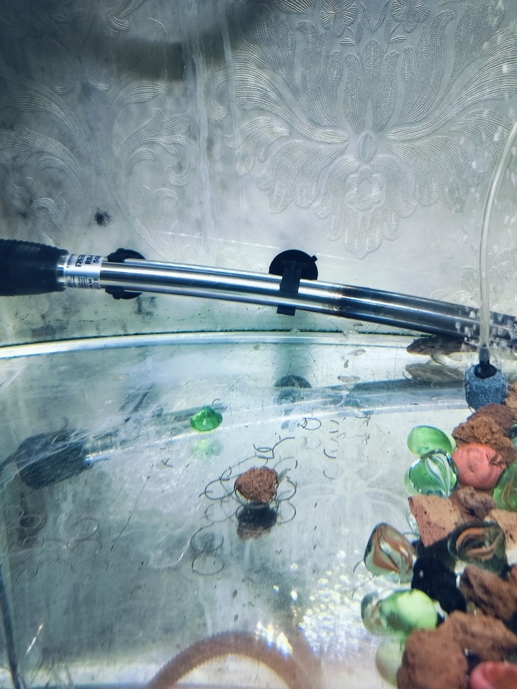 魚缸維c用什么牌子的魚缸維c用什么牌子的牌子的好，魚缸維c用什么牌子好 魚缸維c用什么牌子的魚缸維c用什么牌子的牌子的好，魚缸維c用什么牌子好 觀賞魚百科 第1張