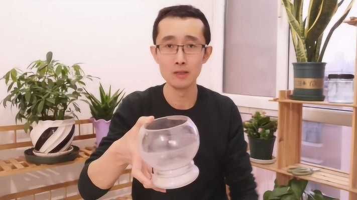 玻璃魚缸可以裝土養花嗎：玻璃魚缸可以種植陸生植物嗎？ 玻璃魚缸可以裝土養花嗎：玻璃魚缸可以種植陸生植物嗎？ 魚缸百科 第1張