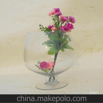 玻璃魚缸可以裝土養花嗎：玻璃魚缸可以種植陸生植物嗎？ 玻璃魚缸可以裝土養花嗎：玻璃魚缸可以種植陸生植物嗎？ 魚缸百科 第2張