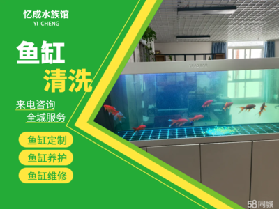 金龍魚點(diǎn)頭是怎么回事（金龍魚點(diǎn)頭是怎么回事兒） 金龍魚點(diǎn)頭是怎么回事（金龍魚點(diǎn)頭是怎么回事兒） 魚缸百科